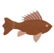 Chocolate Fish