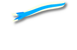 Blue Ribbon Eel