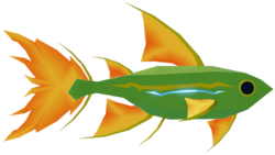 Canopy Tetra