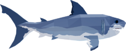 Ginsu Shark
