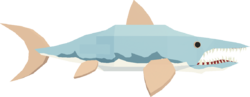 Helicoprion