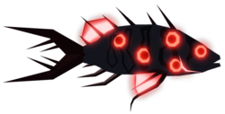 Hexeye Snapper
