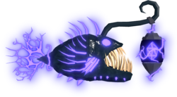 Infant Giant Seadevil