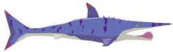 Jurassic Helicoprion
