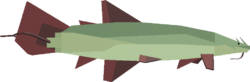 Marsh Gar
