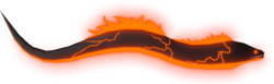 Molten Moray