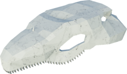 Mossjaw Skull