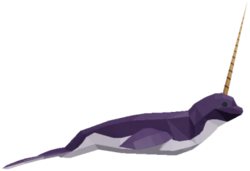 Narwhal