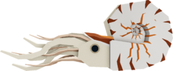 Nautilus