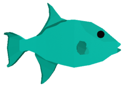 Ocean Triggerfish