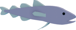 Polar Cod
