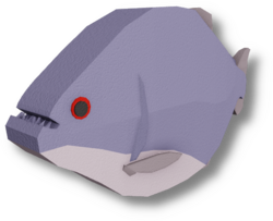 Redeye Piranha