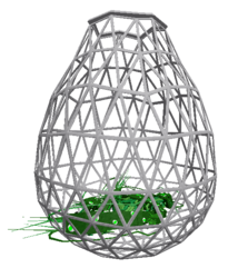 Seaspawn Shrimp School