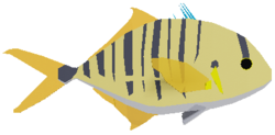 Trevally