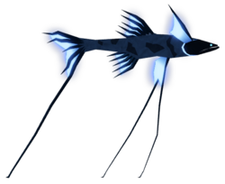 Tripod Fish