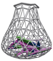 Veinfin Tetra School