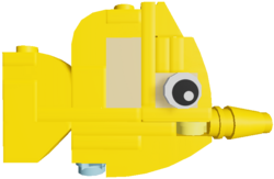 Yellow Studfish